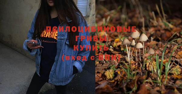 соль ск Белоозёрский